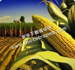安全、便捷、高效的资产交易 - 爱游戏