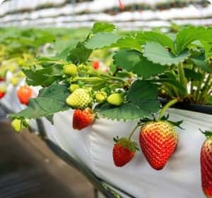 安全、便捷、高效的资产交易 - 爱游戏